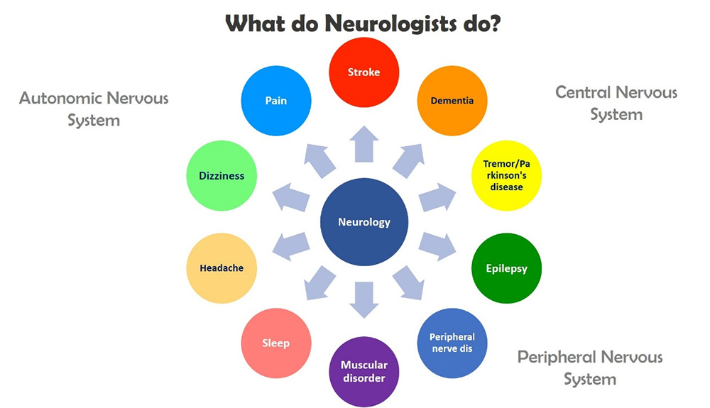 What do Neurologists do?